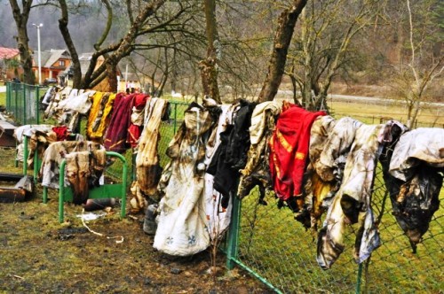 Сьогодні зранку на території монастиря Святого Іллі у Дорі поблизу Яремчі згоріла церква. Поки що причини загоряння не встановлені, працюють експерти. Та як би там не було, але ми втратили пам'ятку архітектури XX ст. та просто Господня обитель. Багато жінок просто плакали від відчаю.    Церкву в народному гуцульському стилі побудували у 1938 році майстри Іван Яворський з Ділятина та Петро Григорук з Річки. Архітектурний ансамбль знаходиться на території чоловічого студійського монастиря. Храм і монастир були збудовані на землі, що її у 1930-х роках офірували студитам подружжя Іллі та Іванни Кокорудзи, освітян зі Львова. Їхнім святим покровителям, святому пророку Іллі та святому Івану Хрестителю, і посвятили свій храм і монастир студити.    Науковий співробітник Постуляційного центру студійських монастирів Роман Шимон наводить у своїй розвідці такі відомості: “Ілля Кокорудз був у добрих стосунках з митрополитом Андреєм Шептицьким, який з 1924 року є почесним членом Педагогічного товариства “Рідна школа”. Митрополит щедро допомагав приватному народному семикласному шкільництву... Ці приватні українські школи були також великим заборолом перед денаціоналізацією... Там здобували вони справжнє релігійне та патріотичне виховання щиро відданих учителів, нерідко навіть висококваліфікованих”. “Митрополит Андрей та Ілля Кокорудз мали одну мету: допомогти бідним дітям отримати освіту. Можливо, й тому панство Кокорудзів поручило свої два будинки в Дорі монахам студитам для виховання молоді на Гуцульщині”.    У 1935 році троє ченців-студитів з Унівської лаври приїхали в Дору і облаштували свою каплицю в одному з подарованих будинків, а три роки по тому вже була побудована нова церква.    Оригінальний інтер’єр декоровано деревом із випаленими орнаментами та іконами. Оригінальний інтер’єр декоровано деревом із випаленими орнаментами та іконами. Фото Миколи Амброзяка, жовтень 2008 р.    Після війни на Галичині почалися репресії проти українського греко-католицького духовенства. Монастир скасували, монахів місцеві мешканці прийняли у своїх хатах, оскільки раніше побачили від них чимало добрих справ. Адже студити навчали молодь у створеній ними ремісничій школі, допомагали бідноті і загалом ставились до людей гідно і з симпатією.    Завдяки хорошим стосункам і релігійним традиціям, церква, всупереч вказівкам місцевої влади, так і не була зруйнована - розбирати храм двічі привозили бригаду робітників, але вони втікали.     На початку 1990 року храм повернули студитам, які реставрували його і відновили церковне життя.    Поки що розглядають дві версії пожежі: через свічку і підпал.